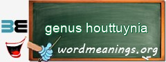 WordMeaning blackboard for genus houttuynia